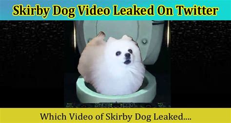 Skirby Dog Video Phenomenon on Reddit and X/Twitter Tiktok